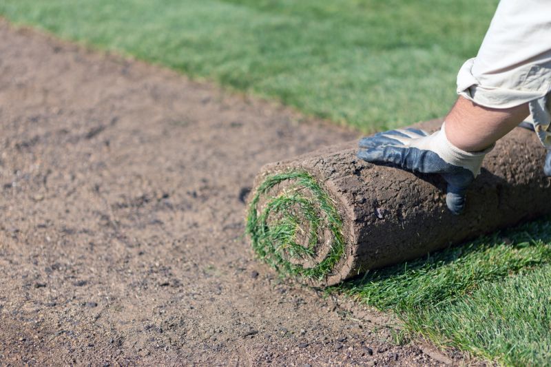 Increase Your Sod Landscaping Business with an AI Driven, Targeted Website