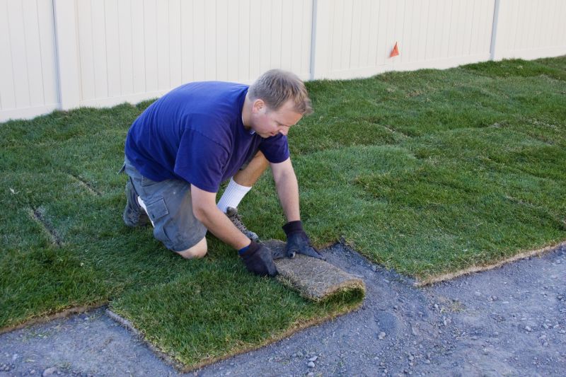 Sod Landscaping