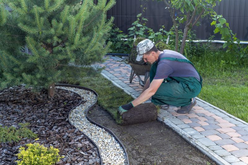 Sod Landscaping