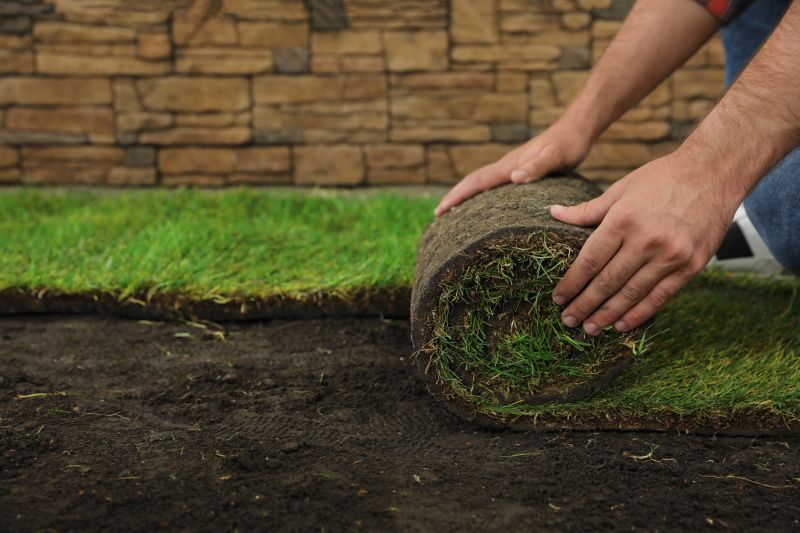 Bentgrass Sod Installation in Aiken, SC