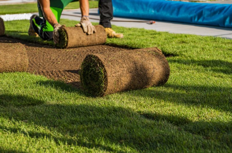 Sod Landscaping
