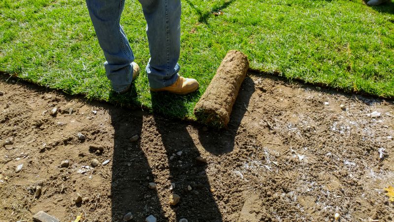 Rolling and Securing Sod