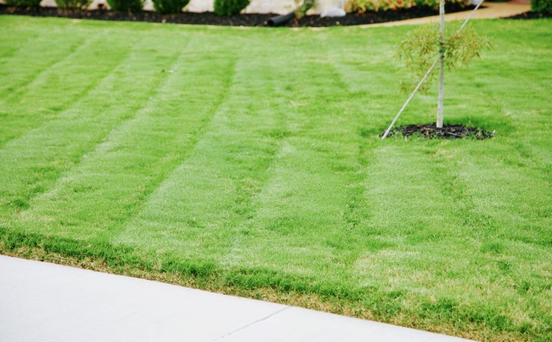 Lawn with Mature Sod