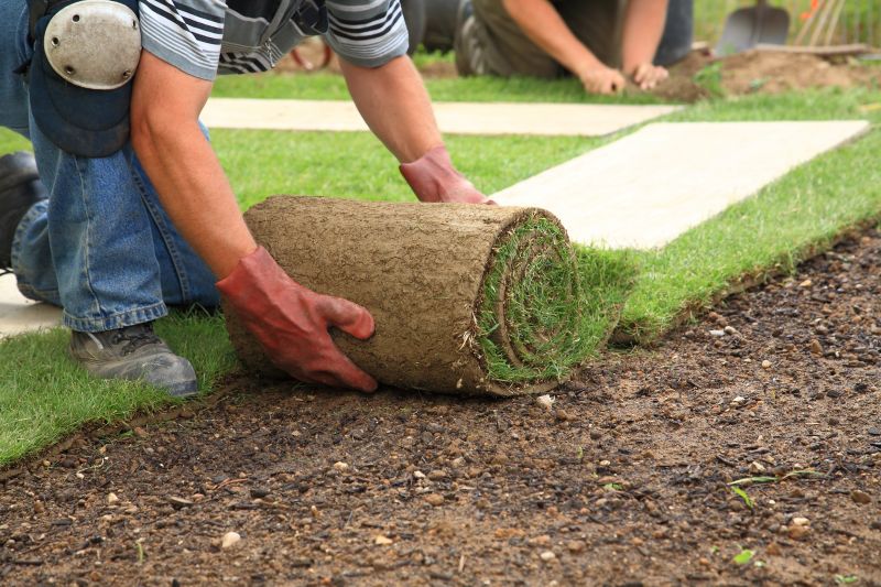 Sod Installation Team