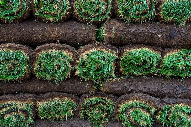 Sod Landscaping