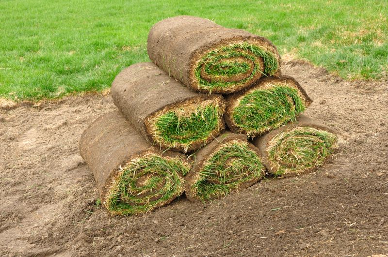 Sod Landscaping