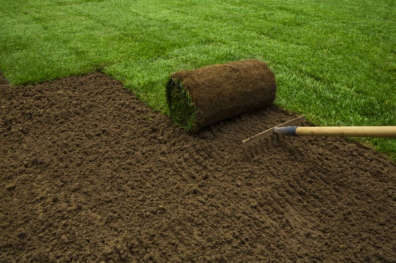 Sod Roll Installation