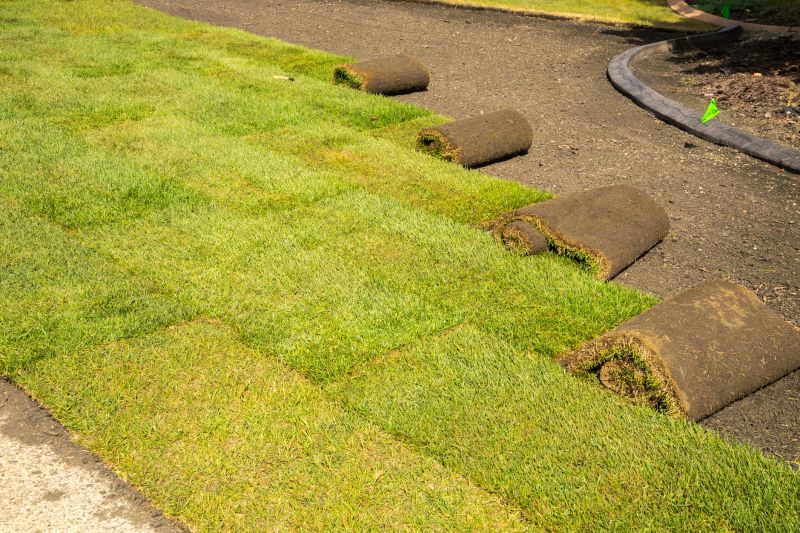 Lush Sod Installation