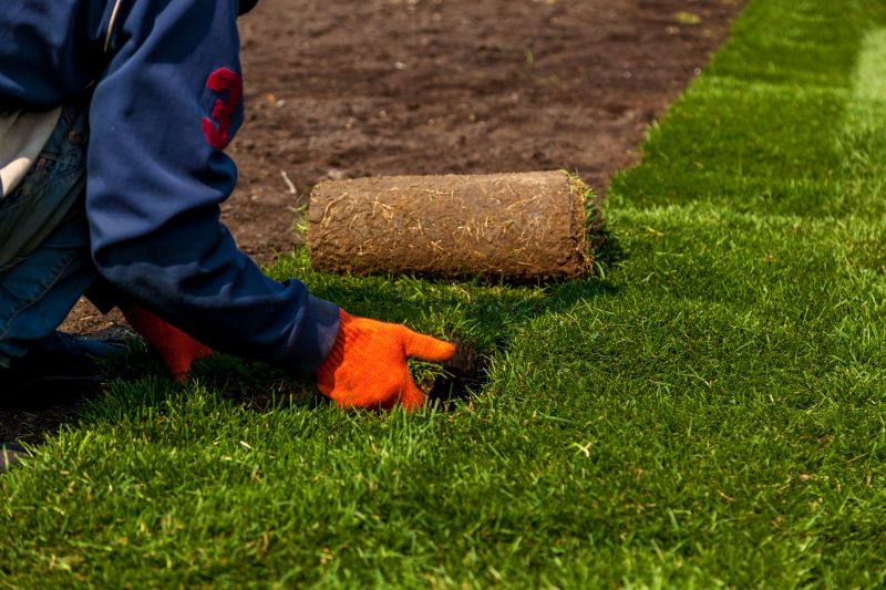 Sod Laying Service