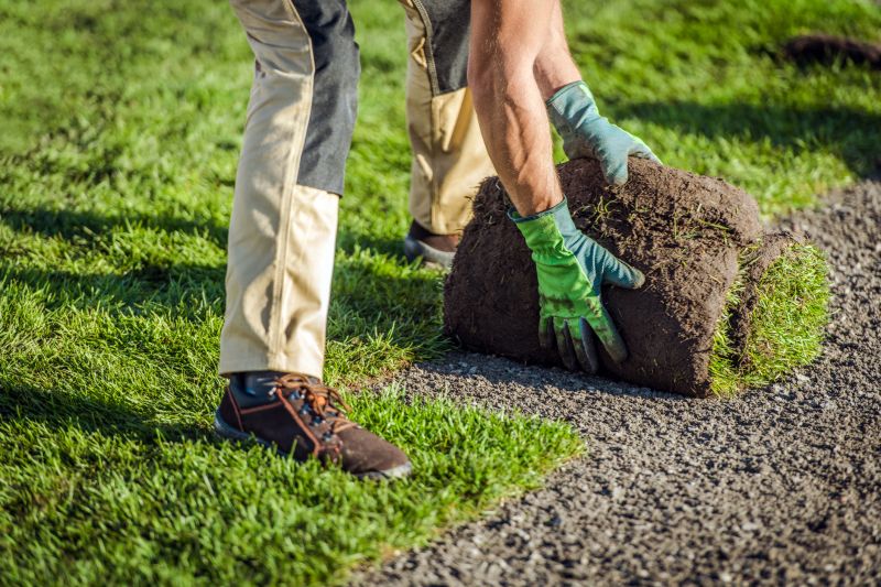 Local Sod Landscaping pros at work